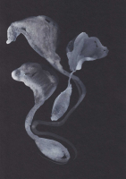 http://www.actionaqua.com/files/gimgs/th-111_glashaus 3_v2.jpg